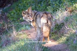 photo by Janet Kessler