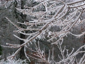 Winter Magic